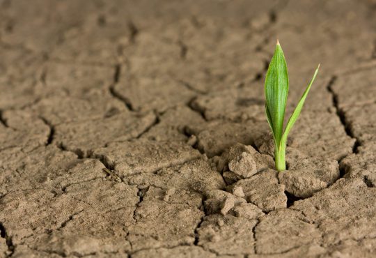 Plan canicule 2023
